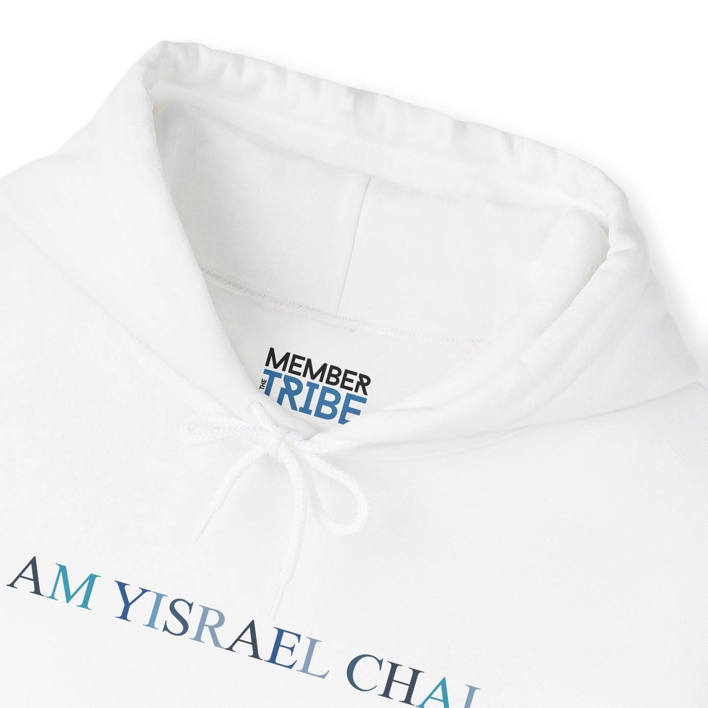 Blue Am Yisrael Chai Hoodie